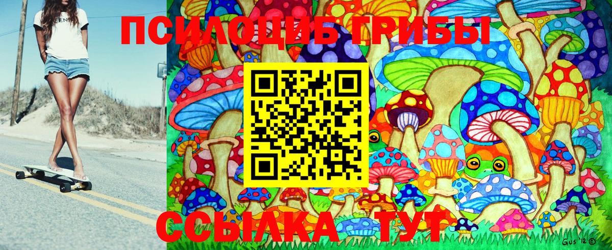 Галлюциногенные грибы GOLDEN TEACHER Каменск-Шахтинский